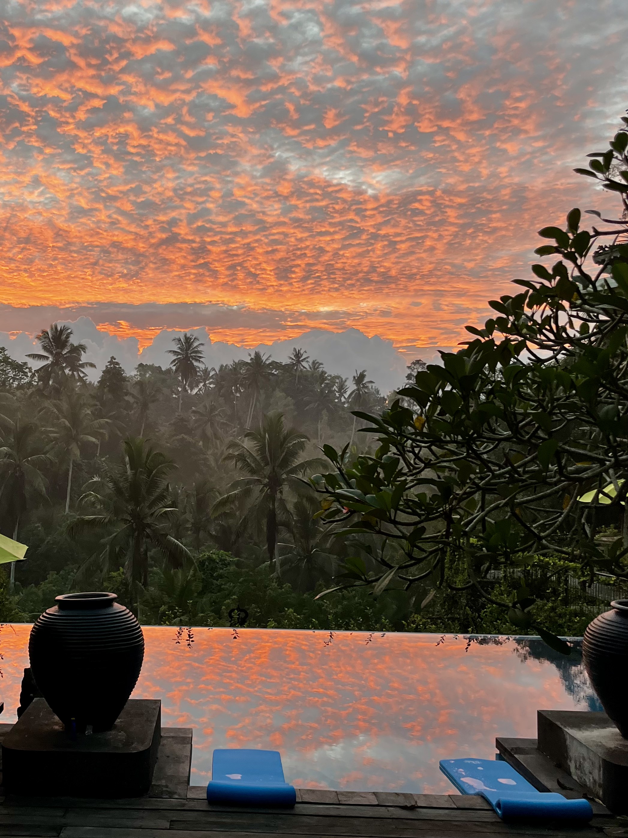 A Bali sunrise over a tropical jungle reflected in a calm infinity pool