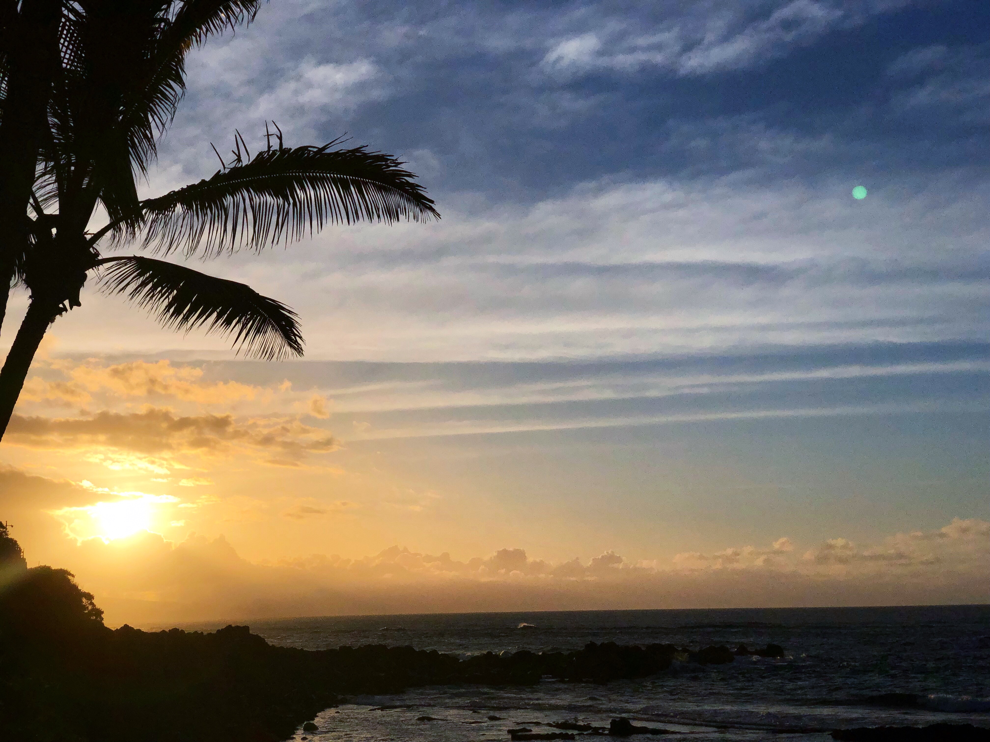 96CC3630-2AEA-4B67-BB48-F9A95C17F0A0